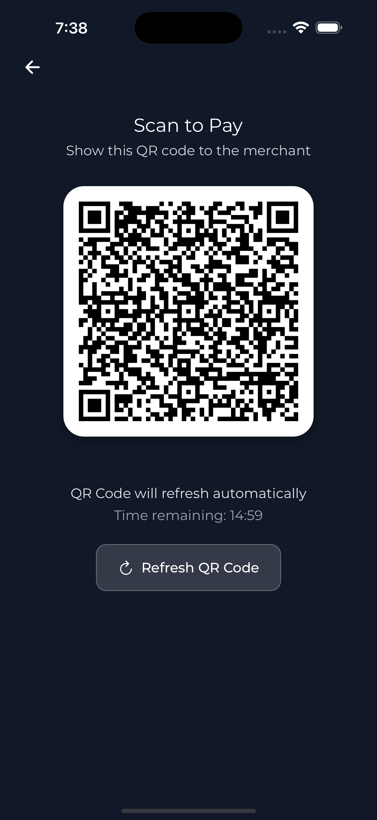 Scan to Pay QR Code